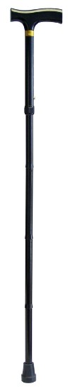 Folding Cane
