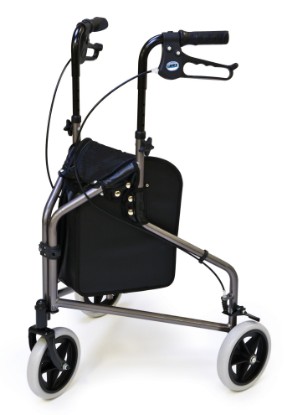 Picture of 3-Wheel Cruiser