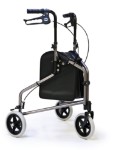 3-Wheel Cruiser