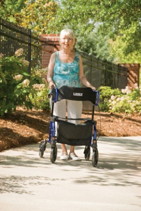 Picture of HybridLX Rollator Transport Chair