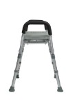 Platinum Collection Bath Seat with Arms