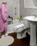 Platinum Collection Bath Seat with Arms