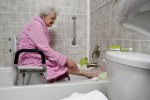 Platinum Collection Bath Seat with Arms