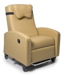 Ortho-Biotic II Recliner