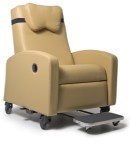 Ortho-Biotic II Recliner