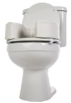 Raised Toilet Seat Cushion