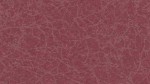 9208 Wineberry