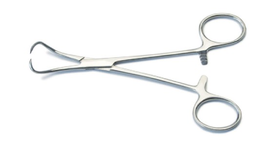 Backhaus Towel Forceps