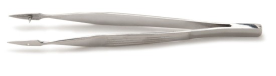 Carmalt Splinter Forcep
