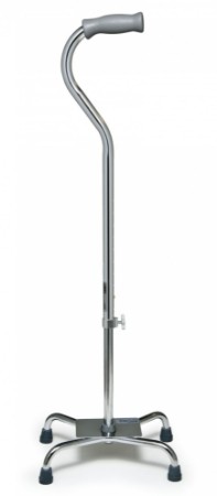 Picture for category Canes