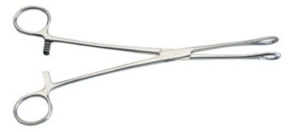 Picture of Foerster Sponge Forceps