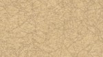 9205 Gypsum
