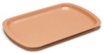 Rectangular Service Tray