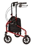 3-Wheel Cruiser