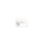 Replacement filters for Neb-a-Doodle 5EA/PK