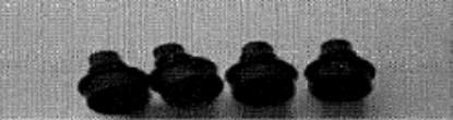 Picture of Bumpers Neb-U-Tyke Train
