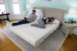 Companion Bed Frames
