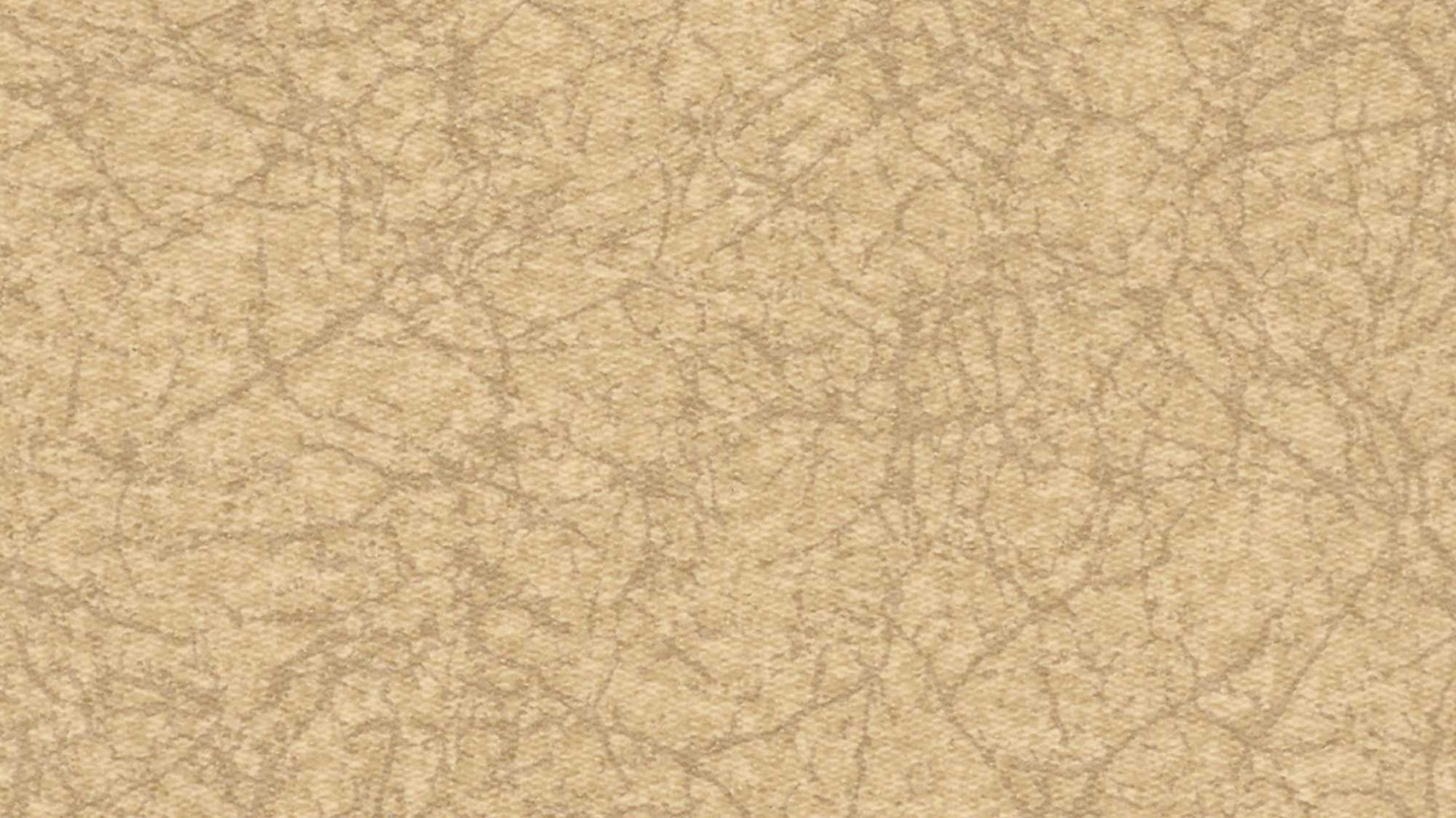 9205 Gypsum - Renaissance Neo