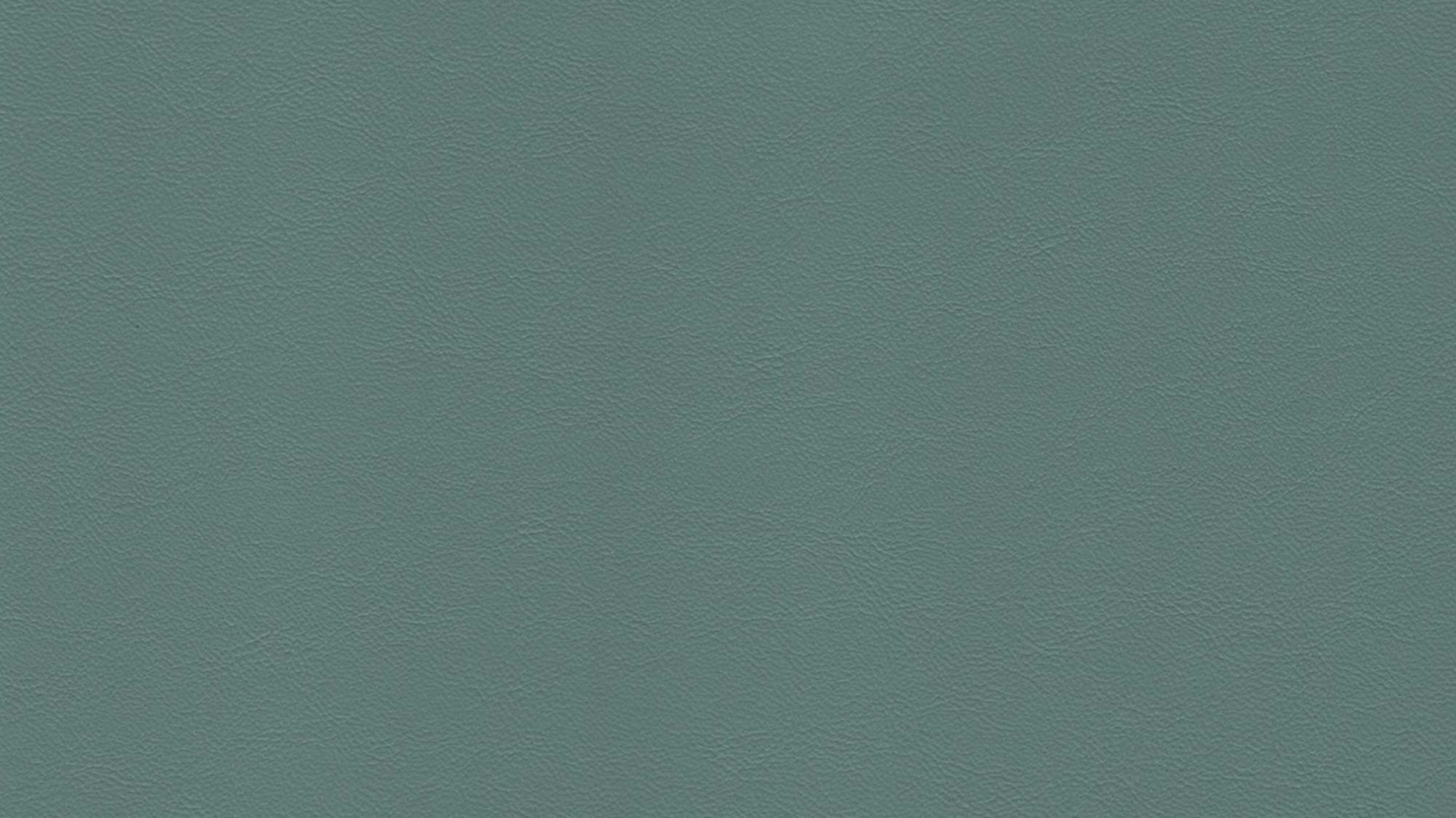 9517 Eucalyptus - Savoy